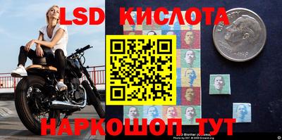 спайс Берёзовский