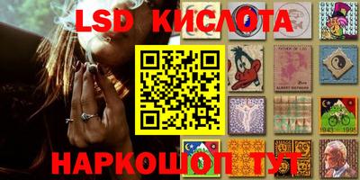 спайс Берёзовский
