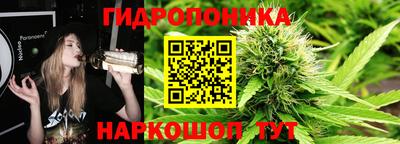 спайс Берёзовский