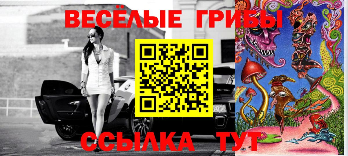 Вятские Поляны  Галлюциногенные грибы ЛСД  как найти наркотики  Вход с VPN  Галлюциногенные грибы Psilocybine cubensis 